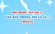 Văn bản thông tin là gì? Các yếu tố hình thức trong văn bản thông tin? Ngữ Văn lớp 11